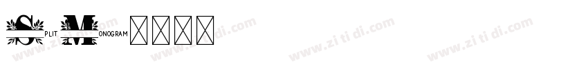 Split Monogram字体转换 Split Monogram字体转换